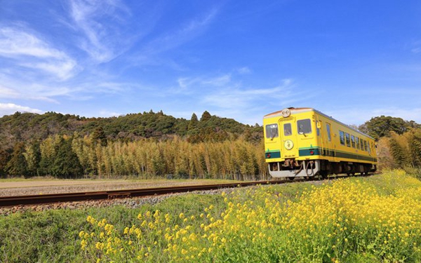 日本國內旅行熱門景點盤點