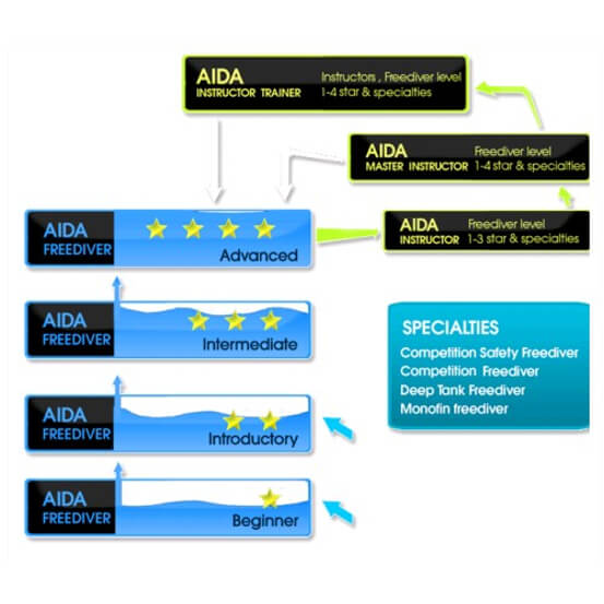 自由潛水 AIDA潛水課程