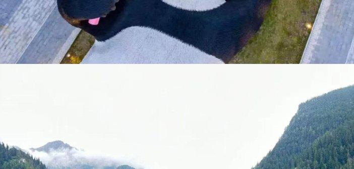 建才之旅旅行社評價如何?優惠團值唔值得參加 成都