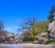萬聯旅遊旅行社日本團