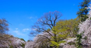 萬聯旅遊旅行社日本團